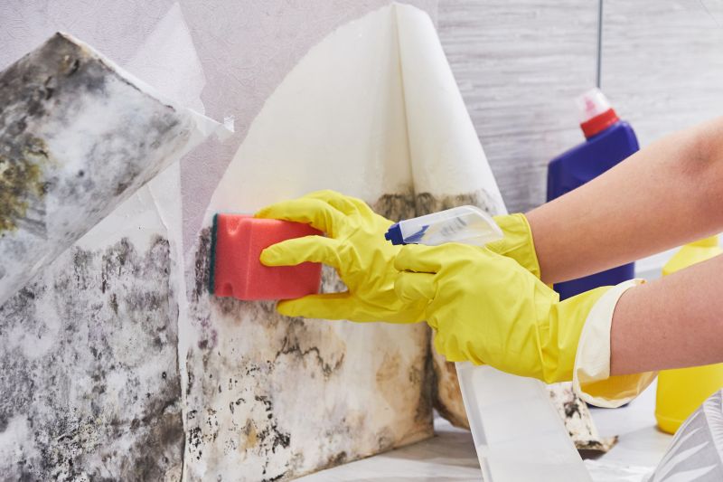 Air Duct Mold Removal in Bergen County, NJ