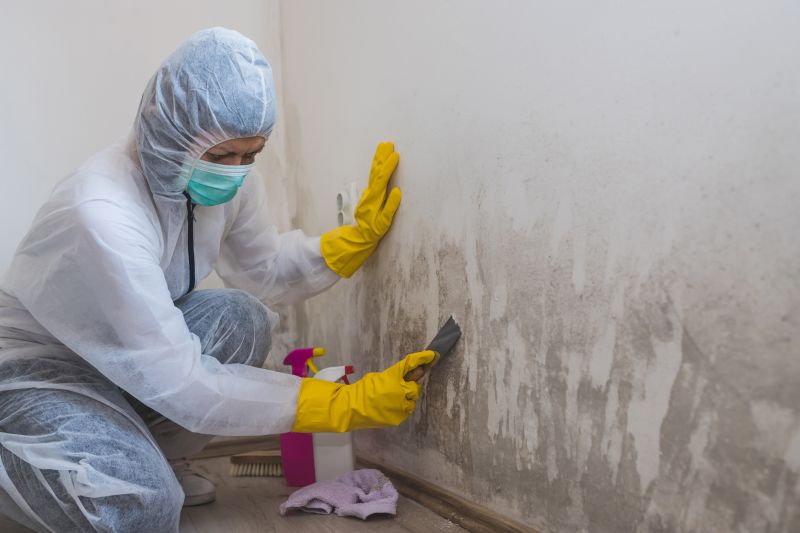 Air Duct Mold Removal in Fort Worth, TX