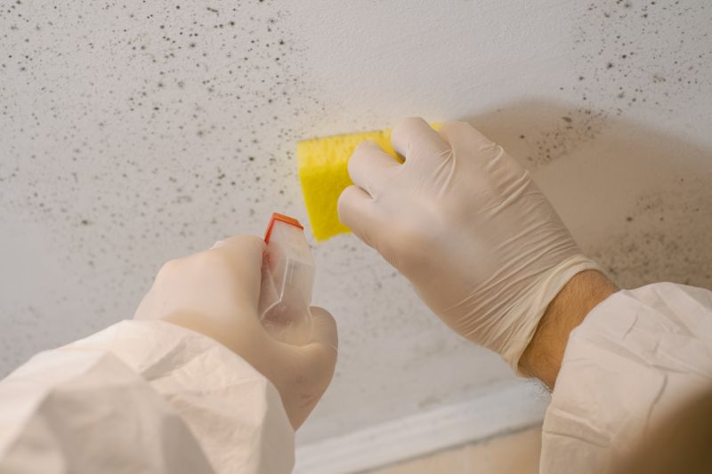 Attic Mold Remediation in Jupiter, FL