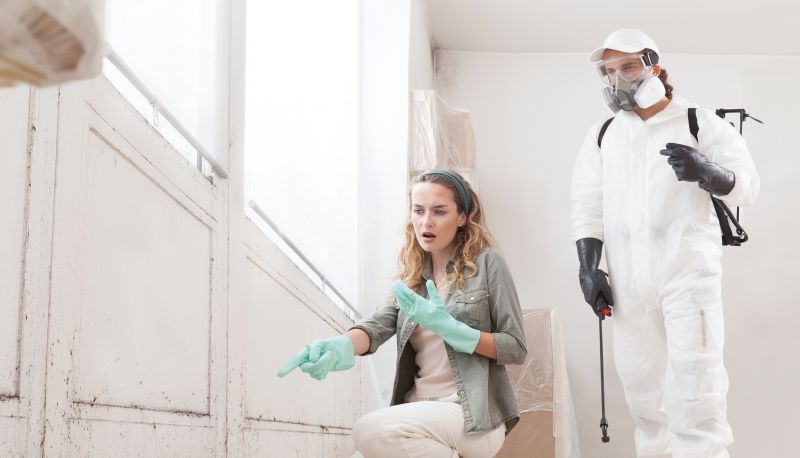 Attic Mold Remediation in Fort Lauderdale, FL