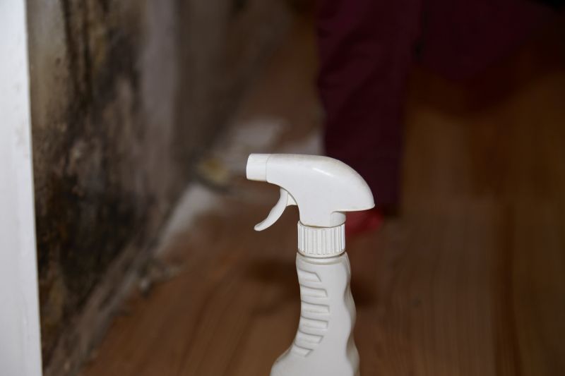 Attic Mold Removal in West Palm Beach, FL