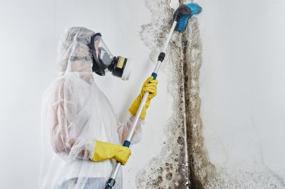 Basement Mold Remediation in Fort Worth, TX