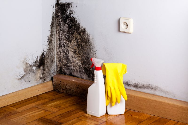 Basement Mold Removal in Jupiter, FL