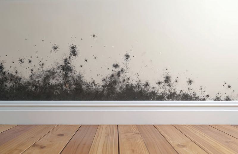 Basement Mold Removal in Bergen County, NJ