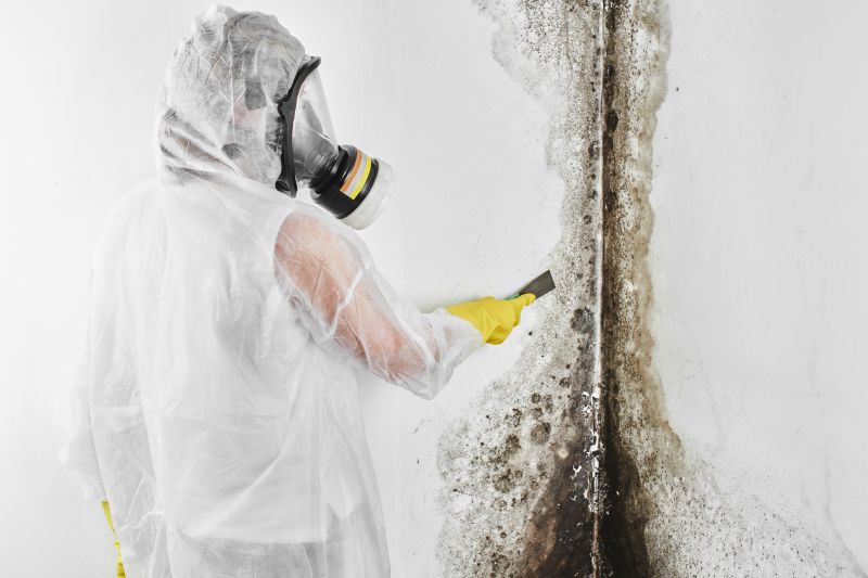 Black Mold Remediation in Frisco, TX