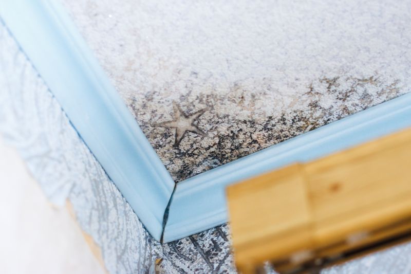Black Mold Remediation in Boca Raton, FL