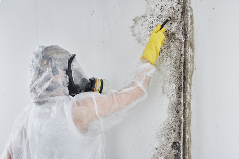 Black Mold Removal in Bergen County, NJ