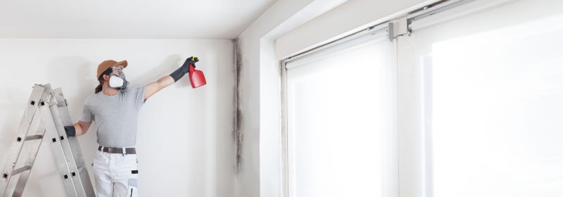 Crawl Space Mold Removal in Fort Lauderdale, FL