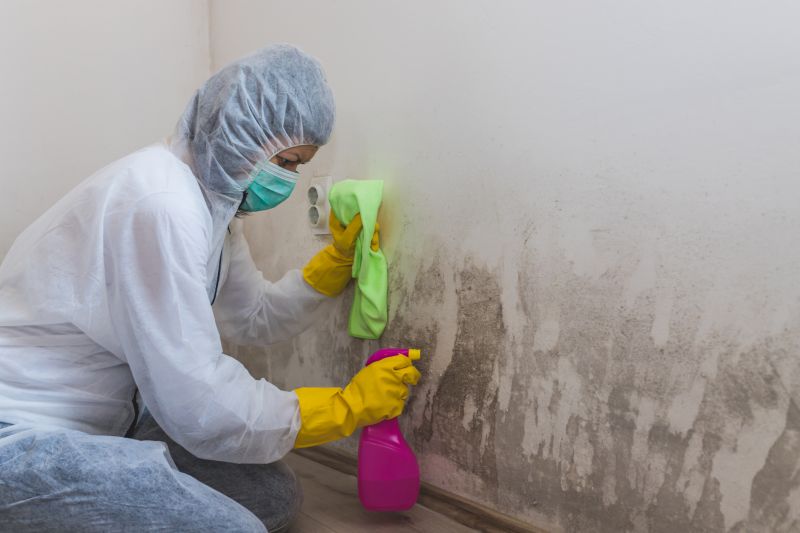 Crawl Space Mold Removal in Frisco, TX
