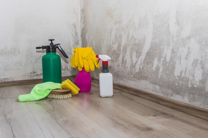 Crawlspace Mold Remediation in Fort Lauderdale, FL