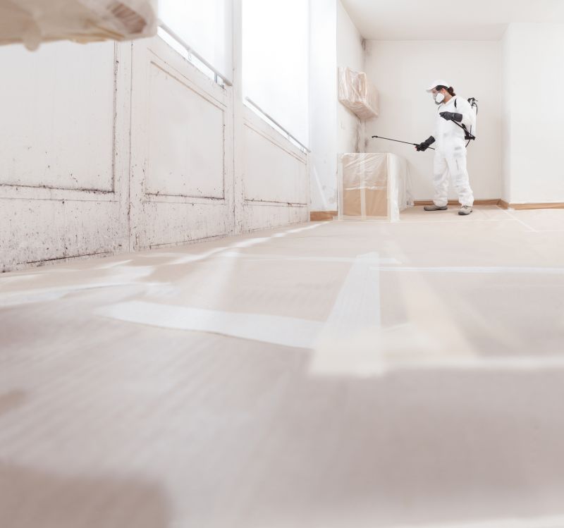 Crawlspace Mold Remediation in West Palm Beach, FL