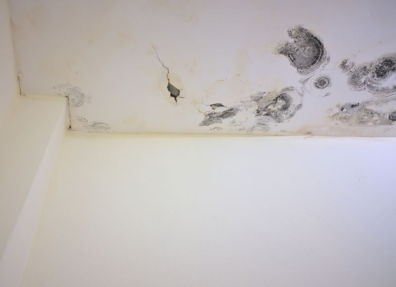 Garage Mold Remediation in Boca Raton, FL