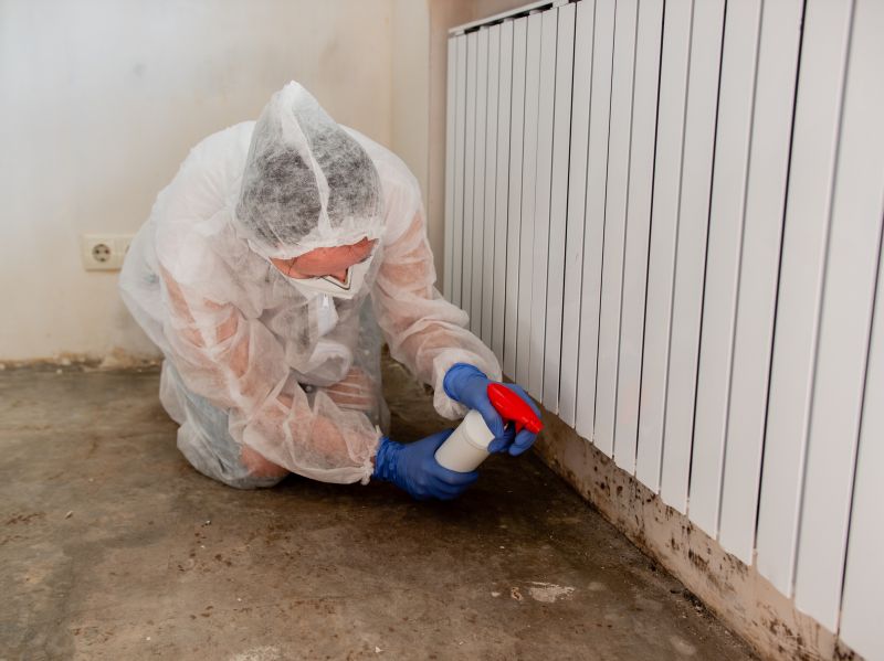 Mold Abatement Service in Boca Raton, FL