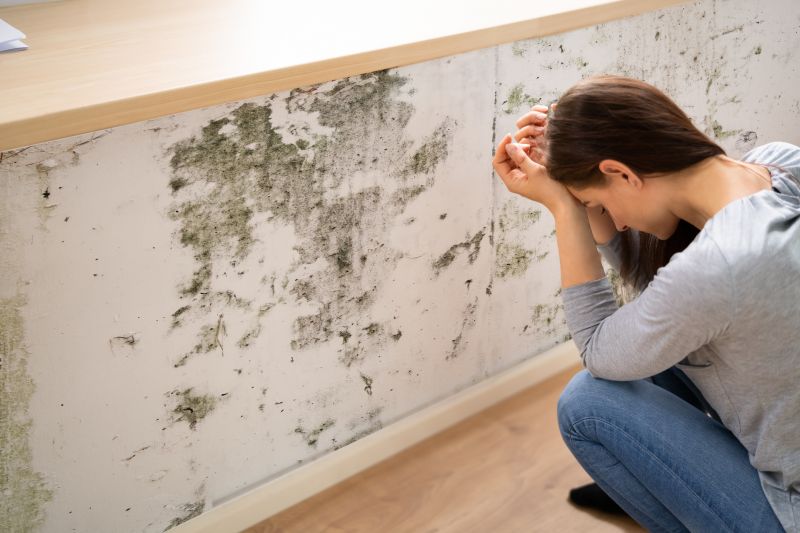 Mold Control in Weatherford, TX