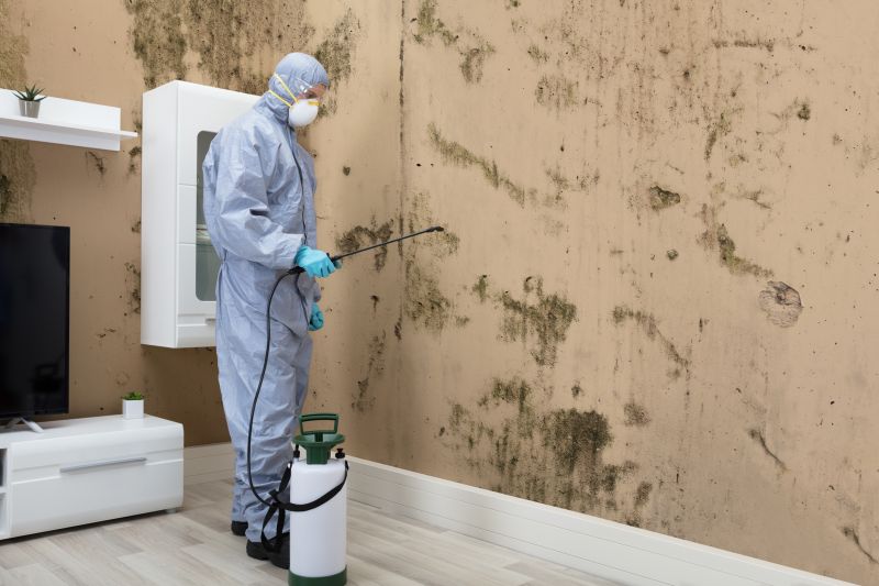 Mold Detection in Fort Lauderdale, FL