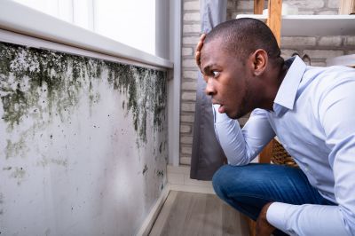Mold Inspection And Removal in Frisco, TX