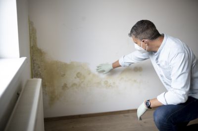 Mold Mitigation Service in West Palm Beach, FL