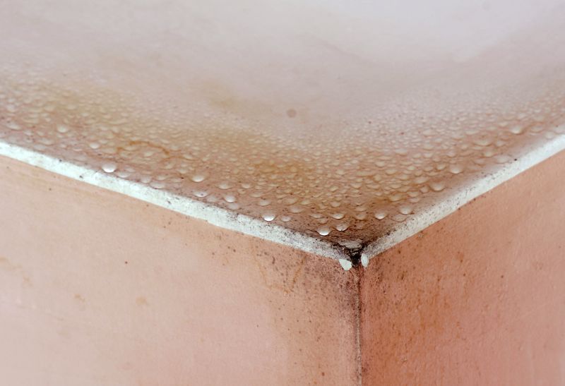 Mold Mitigation Service in Boca Raton, FL
