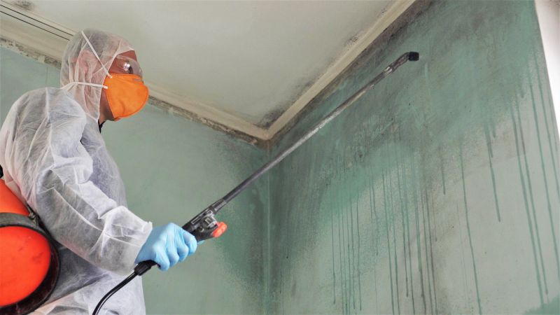 Mold Remediation Service in Boca Raton, FL