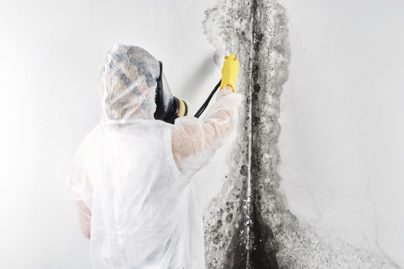 Mold Remediation Service in Bergen County, NJ