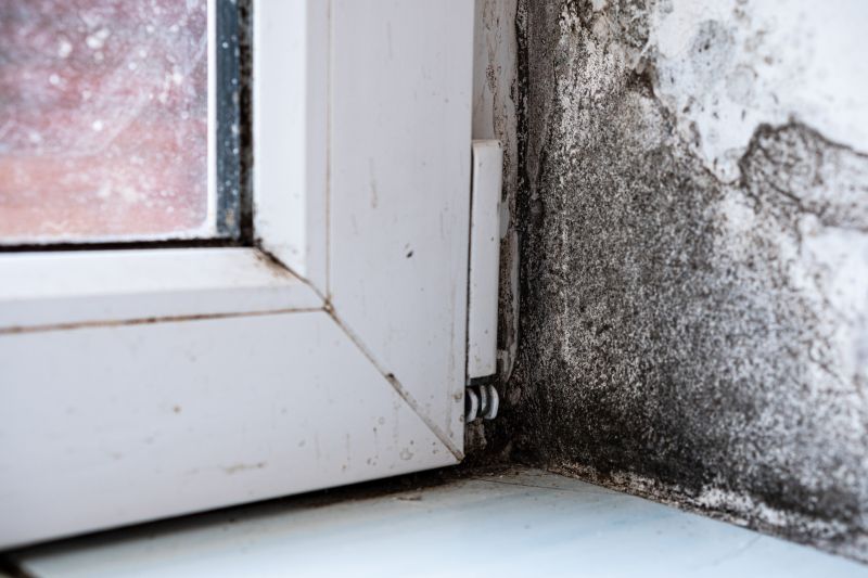 Mold Restoration in Bergen County, NJ