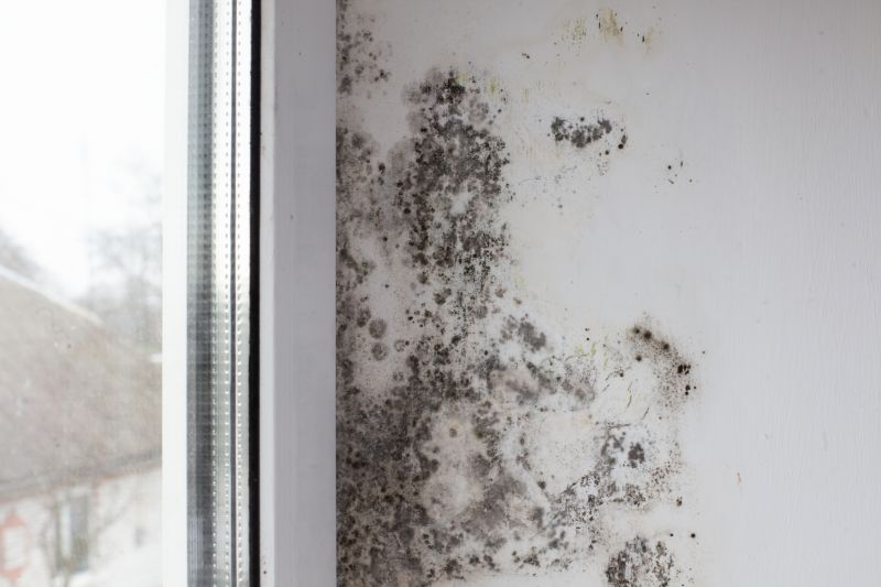 Mold Treatment Service in Essex County, NJ