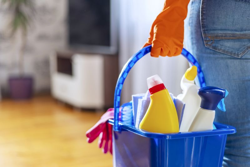 Reo Property Cleaning in Bellevue, WA