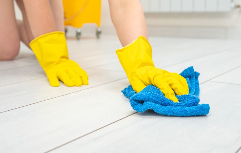 Wood Floor Cleaning Service in Madison, WI