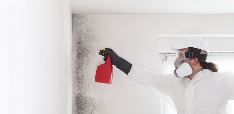 Attic Mold Remediation in Broward County, FL