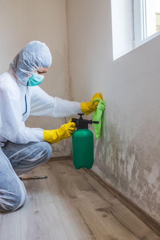 Crawlspace Mold Remediation in Fort Worth, TX