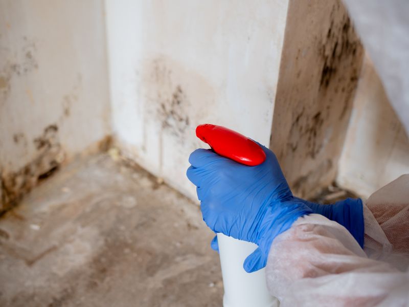 Garage Mold Remediation in Essex County, NJ